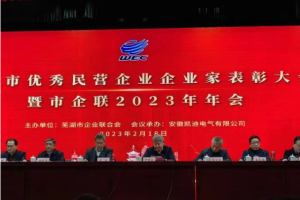 喜讯！瑞丰·优牧达董事长王健获芜湖市2022年优秀企业家表彰