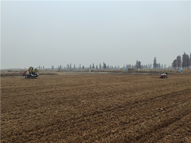 农业农村部召开带状复合种植示范推广座谈会