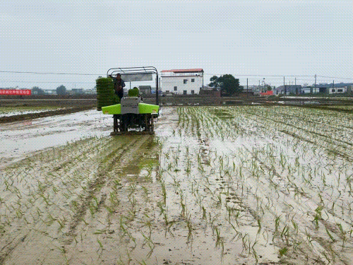 春耕春种进行时，中联重科以“良机+良技”推动水稻机械化种植水平提升