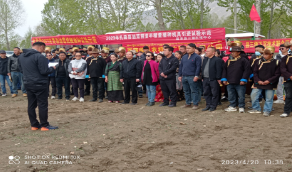 西藏举办油菜精量、半精量播种机具引进试验示范现场会