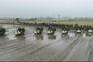 中联重科水稻有序抛秧机在这场省级技术推广演示活动上大显身手