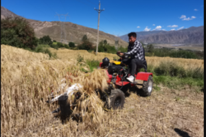 适应西藏农业生产的多功能青稞割捆机田间性能测试初见成效