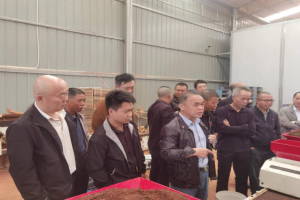 湖南举办2023油菜机械化种植技术现场培训班