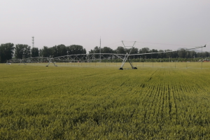 小麦种植全程无人作业技术集成示范