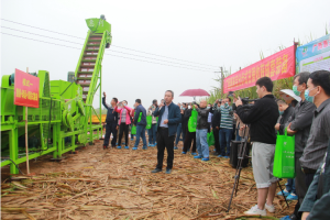 推进甘蔗生产机械化  全程全面发展牢牢端稳中国“糖罐子”