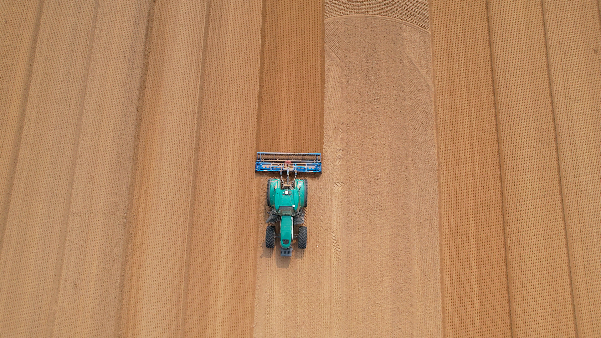 奋进的春天 | 龙抬头，潍柴雷沃CVT拖拉机智动春耕