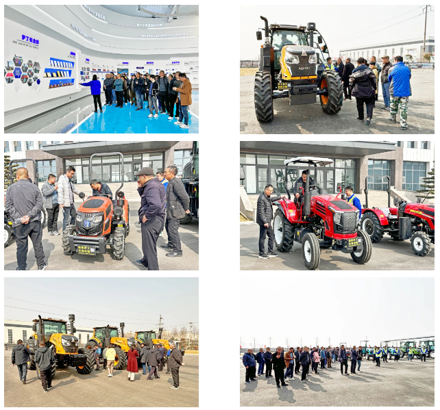 燃爆！百城万人，萨丁掀起春耕热潮