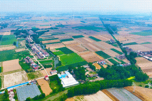 奔跑的三夏丨中联重科点亮荆楚大地“油稻轮作”好“丰”景