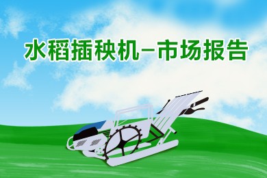高速水稻插秧机补贴季报（2025年一季度）