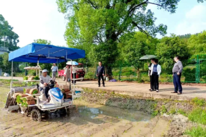 立夏插秧忙，东风井关PZ系列高速插秧机以高效作业，奏响丰收序曲!