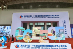 沙雅钵施然采棉机亮相中东欧博览会，中外采购商聚焦 “新疆智造”