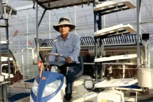 机手讲述：插秧机，我更信赖东风井关！