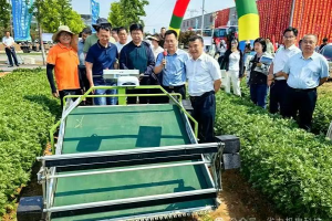 省力科技入局！河北菜园“智造”焕新