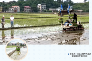 人机协同 田间亮剑 |东风井关用户驾机拿下湖南省插秧比武三等奖！