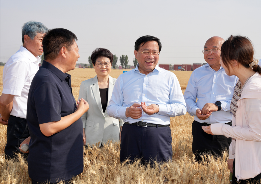 韩俊在河南河北调研时强调 扎实推进粮油作物大面积单产提升行动 全力以赴夯实全年粮食丰收基础