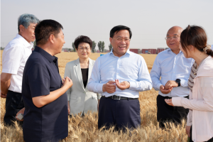 韩俊在河南河北调研时强调 扎实推进粮油作物大面积单产提升行动 全力以赴夯实全年粮食丰收基础