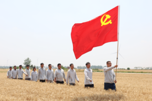 党旗闪耀麦浪间——山东重工护航大国粮安的“厚重”实践