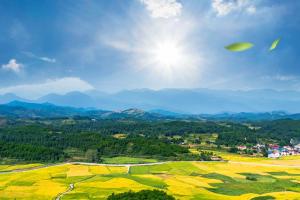 天厚洁能保柴油净化器：乡村振兴路上的绿色护航者