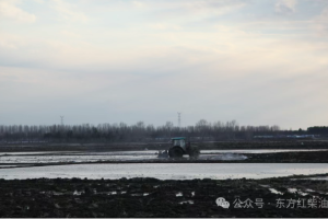 从银行职员到农场主的华丽转身 东方红柴油机给了王永宏信心