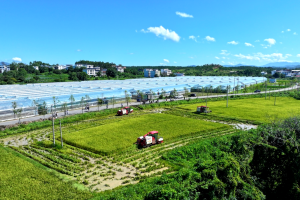 新长征路上的丰收 | 雷沃公益机收走进赣南粮仓