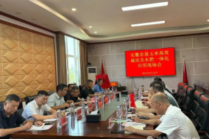 德邦大为尖端科技显威力，助力安徽农垦玉米单产提升示范田抗旱夺丰收