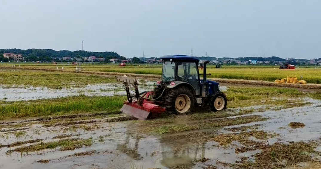 6雷沃拖拉机作业