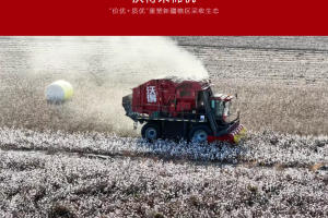 沃得采棉机用“价优+质优”重塑新疆棉区采收生态