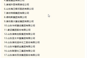 喜报 | 英轩集团旗下企业荣登2025年潍坊民营企业100强和潍坊改革创新百家突出贡献民营企业榜单