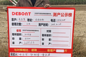 国产播种机技术突围！我国气吸精量播种机单粒率不逊国际大牌