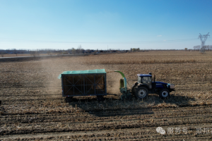 顺邦用户们的共同心声——小投入大回报，选对机器少走弯路