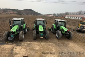 踏实赚钱才是真道理！道依茨法尔成为他的致富搭档