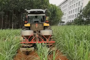 东风井关拖拉机赋能广西甘蔗种植新图景
