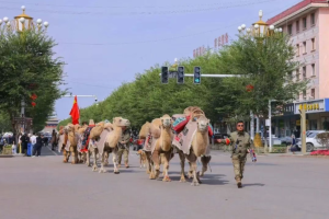 千年丝路驼队赴洛，“钢铁驼队”深耕一带一路