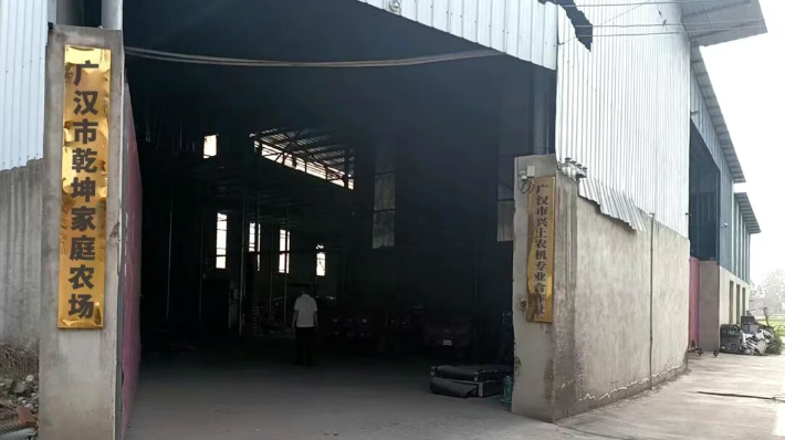 勤勉耕耘沃土 换得稻香丰年