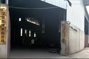 勤勉耕耘沃土 换得稻香丰年