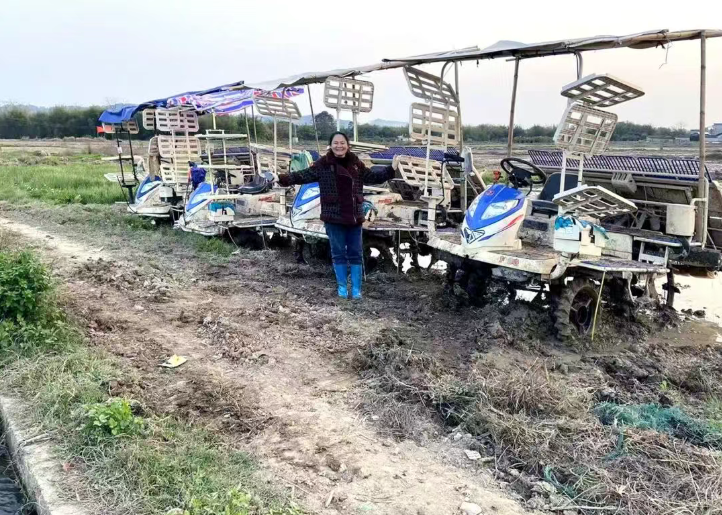 科技赋能稻浪黄！广西晚稻丰产收官，新式农机筑牢丰收底气​！​