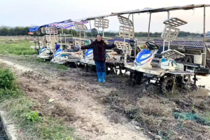 科技赋能稻浪黄！广西晚稻丰产收官，新式农机筑牢丰收底气​！​