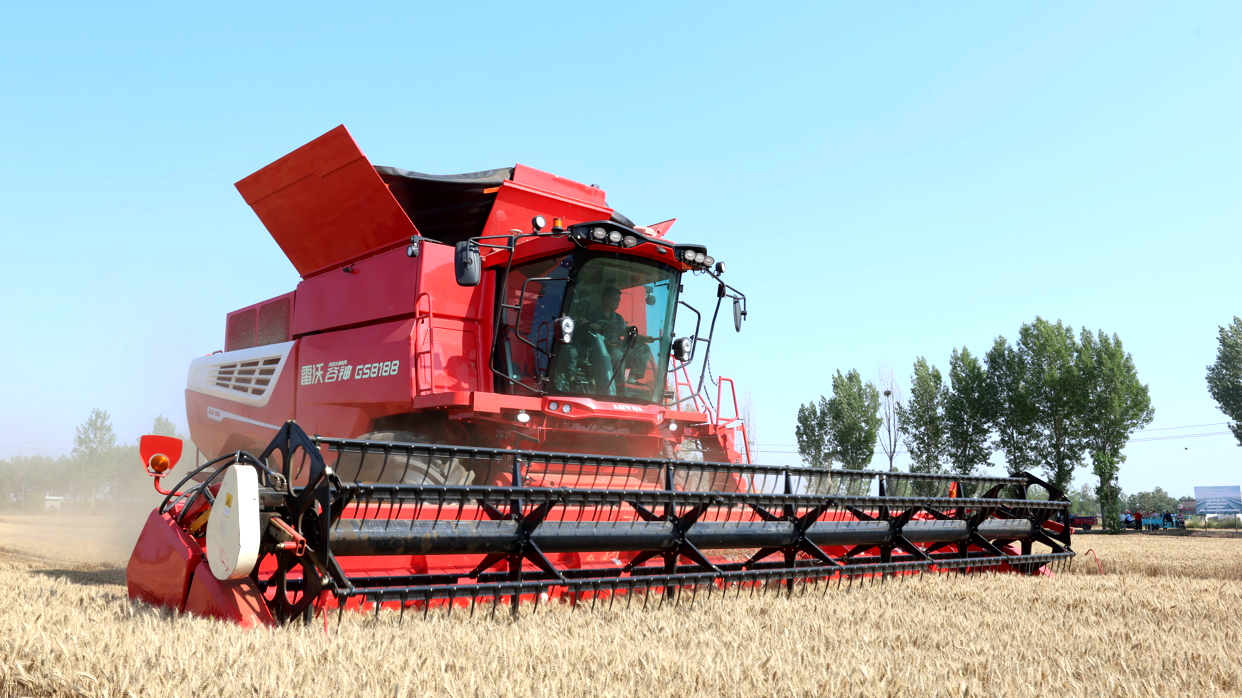 3.雷沃谷神GS8188谷物联合收获机作业.jpg
