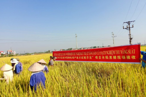 越南展会实地考察报道之二：政企联动，中越合力打造“一站式”参展支持体系