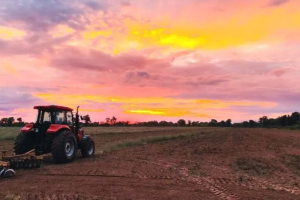 国际业务开门红！33台YTO顺利交付！