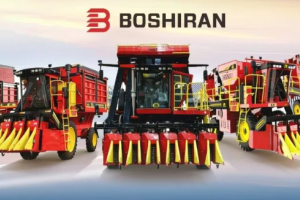 全域协同战新春 精工赋能开门红——钵施然全疆各厂决胜一季度生产攻坚纪实