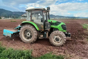 道依茨法尔相伴，楚雄左文林深耕沃野闯百万