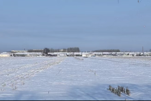 春寒砺铁牛 可靠动力给他的踏实感