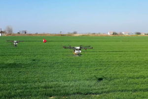 一号文件：新质生产力在农业领域将有更广泛的应用