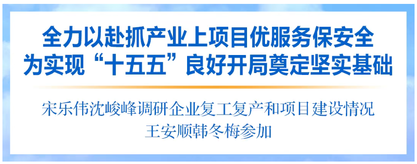 宋乐伟沈峻峰调研徐工集团复工复产和项目建设情况