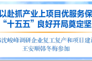宋乐伟沈峻峰调研徐工集团复工复产和项目建设情况