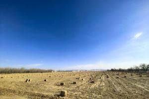 从秸秆龙头到农机先锋，这家企业是如何做到的？