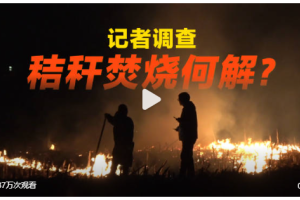 烧也错、不烧也难！秸秆焚烧的困局怎么解？