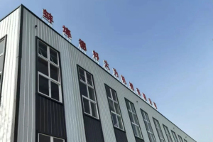 深耕黄淮海 服务再升级 德邦大为蚌埠运营中心正式启用