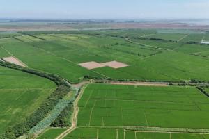 秧苗坐上“小火车”，插秧用上北斗导航 